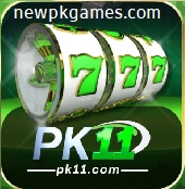 pk11-game